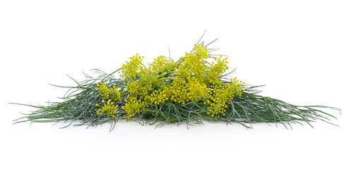 Poster - Yellow dill with green leaves.