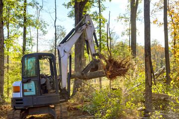 Wall Mural - Tractor skid steer clearing land from roots for being prepared for construction housing development complex