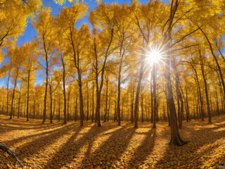 Wall Mural - gold autumn sunny forest landscape