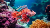 Fototapeta Do akwarium - Tropical sea underwater fishes on coral reef. Aquarium oceanarium wildlife colorful marine panorama landscape nature snorkeling diving
