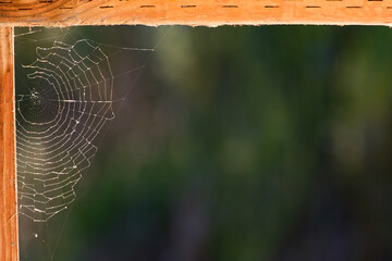 Spiderweb in the corner of a deck frame