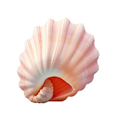 Sticker - transparent background with a sea shell