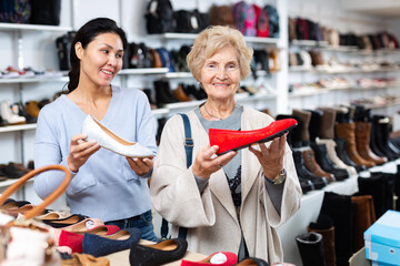 Wall Mural - Friendly female sales consultant demonstrates ballet flats to a mature woman customer who came to a shoe store for shopping