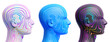 Set of abstract heads in different colors, 3d render