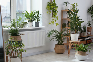 Sticker - Stylish room with beautiful plants near window. Interior design