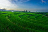 Fototapeta Niebo - Beautiful morning view indonesia Panorama Landscape paddy fields with beauty color and sky natural light