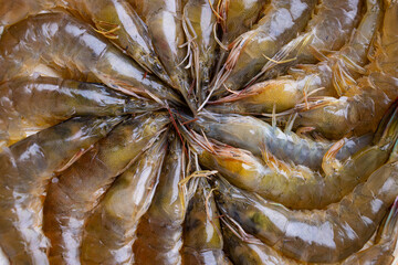 Canvas Print - Fresh raw shrimp prepare for hot pot