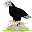 Bird of prey vulture on skeleton animal