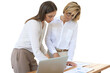 © ty - Two female collegues working with laptop and discussing new project on a transparent background