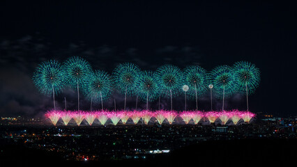 Wall Mural - Beautiful fireworks at Nagaoka Fireworks Festival.