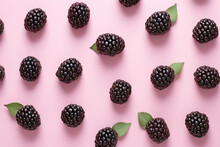 Top View Of Blackberry Fruits On Pink Background
