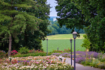 Wall Mural - A park with lots of flowers and trees and a field in the background