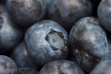 Wall Mural - Ripe American blueberrys close-up shot.