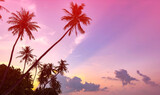 Fototapeta  - Summer with colorful theme as palm trees background as texture frame background