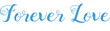 Digital png illustration of forever love text on transparent background