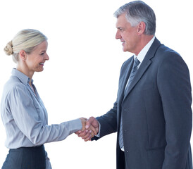 Poster - Digital png photo of caucasian couple on transparent background