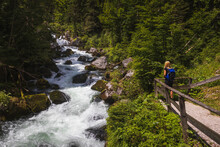 Woman, Tourist Looking Into Small River With Stone And Trees Flow Through Valley. Austria Alps Mountain