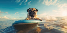 A Funny Pug Lying On A Surfboard In Sea Water. Creative Composition Of Active Summer Sea Vacation, Learning To Surf For Beginners, Water Activities.