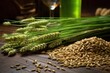 close-up of barley grains and hops on wooden table