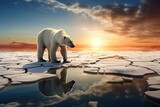 Polar bear (Ursus maritimus) on the pack ice north of Norway, Scandinavia, Europe. Climate change concept