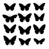 Fototapeta Pokój dzieciecy - collection of butterflies