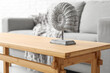 © Pixel-Shot - Light wooden coffee table with figurine in living room