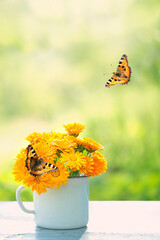 Wall Mural - calendula flowers bouquet in cup and butterflies in garden, natural green background. rustic summer seasonal composition with flowers. relax time. copy space. template for design