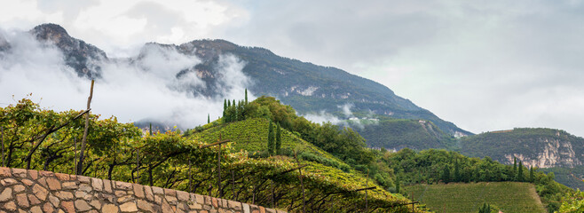 Scenic view of landscape dominated by viticulure along Alto Adige Wine Road, Italy near Cortaccia Kurtatsch with autum colors