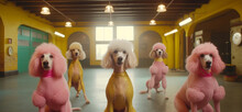 Group Of Poodles Dancing Illustration Generative Ai