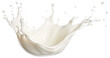 © Pro Hi-Res - Milk splash isolated.