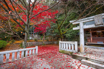 Poster - Fukuoka, Japan - Nov 30 2022: Dazaifu Tenmangu  shgrine dedicated to the spirit of Sugawara Michizane, a scholar and politician of the Heian Period