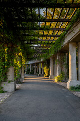 Naklejka na meble Pergola with green plants at Centennial Hall in Wroclaw. Poland in summer. Garden Archway in full bloom Greenery Biophilia design Flowers green areas healthy space sustainable 