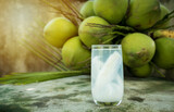 Fototapeta Zwierzęta - coconut juice with young coconut. Fresh coconut water, young coconut drink .