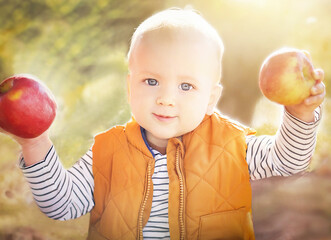 Cute, happy child (baby boy) with two red organic apples in the sunny autumn (fall) day. Kid eating healthy food, snack. Healthy lifestyle, nutrition for caries prevention, teeth, dental health.