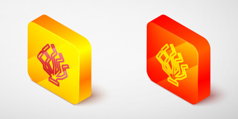 Sticker - Isometric line Coral icon isolated on grey background. Yellow and orange square button. Vector