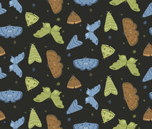 Seamless Pattern Of A Variety Of Blue, Green And Brown Moths And Doodle Dots Scattered On Black Background. Elegant Butterfly Hand Drawn Surface Design For Paper And Textile.