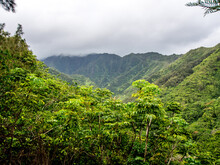 Hauula Forest Reserve On The Hawaiian Island Of Oahu