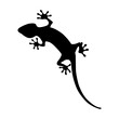 Lizard icon vector. Reptile illustration sign. cold blooded symbol or logo.