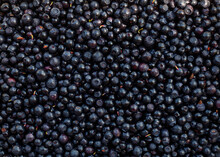 Blueberries Texture