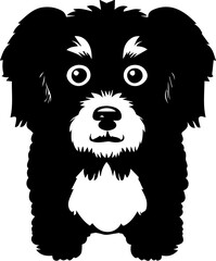 Wall Mural - Aussiedoodle dog icon 1