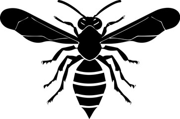 Poster - Asian Giant Hornet icon 1