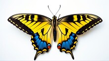 Beautiful Eastern Tiger Swallowtail Butterfly With Delicate Blue And Yellow Colours On Isolated White Background. Generative AI