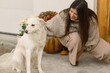 © sonyachny - Happy woman in knitted sweater caressing cute dog at house entrance decorated with autumn pumpkins, pots with chrysanthemums and heather. Owner playing with pet