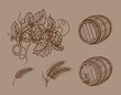 Hop branch with leaf, ear of barley and wooden barrel. Retro engraving alcohol brewery beer elements. Sepia. Vintage vector hand drawn illustration