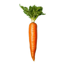 Carrot Shown Against Transparent Background