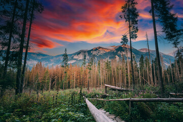 Poster - Sunset time, Hiking Trail In Summer Tatra Mountains Forest Landscape. Beautiful Scenic View In Sunset Time. UNESCO's World Network of Biosphere Reserves.
