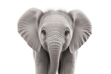 Baby Elephant Portrait. Generative AI Illustration