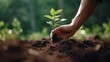 Human's hand planting single plant , plant's survival in the drought, Inspiring actions to save the world, eco-friendly concept, life in the arid landscape, hope for a greener future.
