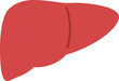 シンプルな肝臓のイラスト(liver)