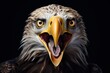 Happy surprised eagle with open mouth.